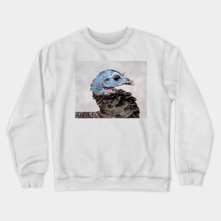 Neighborhood Wild Turkey Portrait Crewneck Sweatshirt